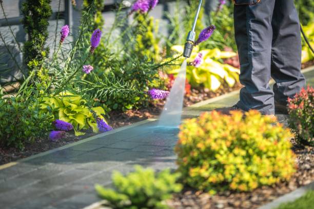 Best Sidewalk and Walkway Cleaning  in Lake Barcroft, VA
